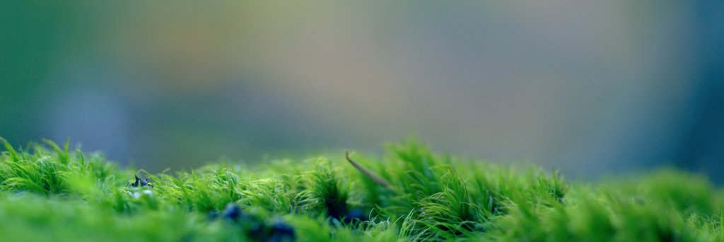 AurelieChevrel's profile banner image