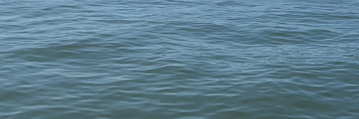 clo🌺 banner