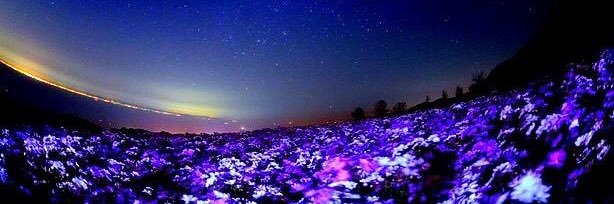 🌙りの🌙 banner