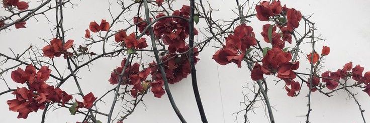 luuhfrank_'s profile banner image