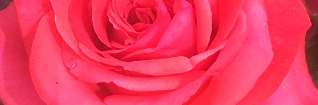 bao_76's profile banner image