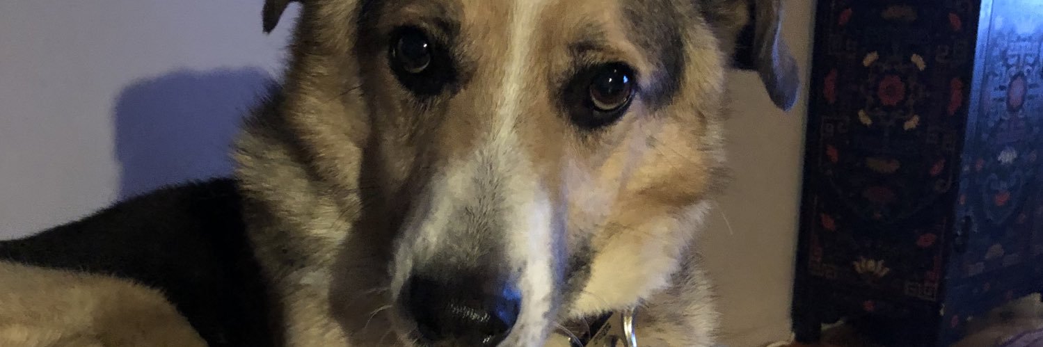 zyozkk's profile banner image
