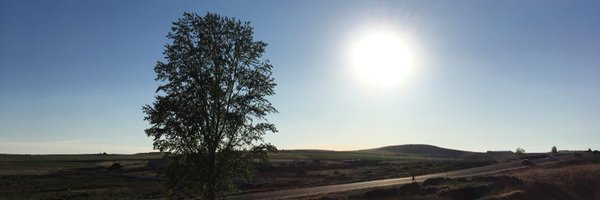 mrtnlhmnn Profile Banner