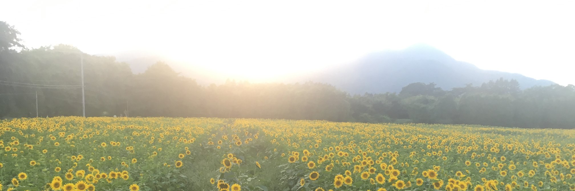tsukimi104's profile banner image