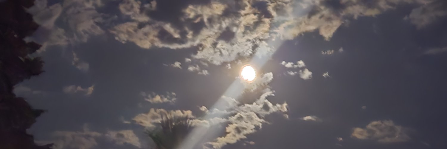 samopornjava's profile banner image
