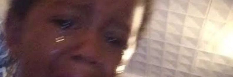 EL GRANDE JINDO 𓃵 banner