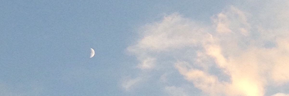eunicecananea's profile banner image
