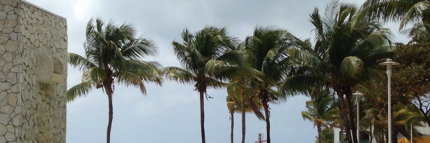 d12_ld's profile banner image