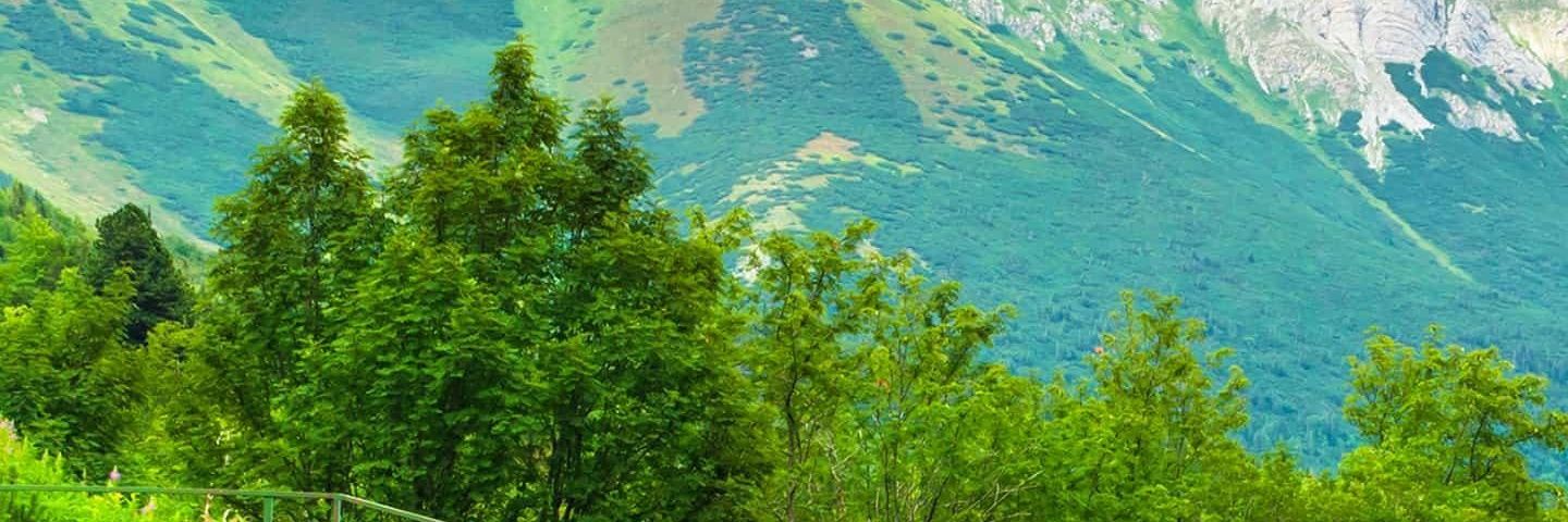 anaperez698's profile banner image