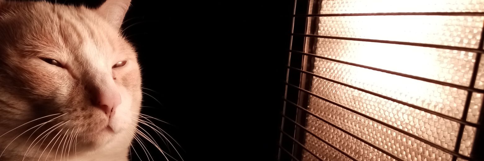 miaucomic's profile banner image