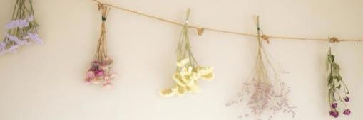 うさぎ banner