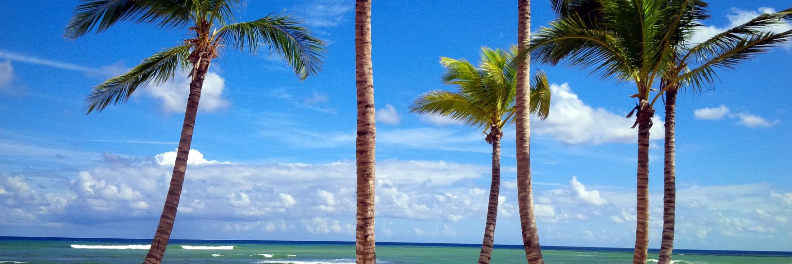 ADAMSMINDSET's profile banner image