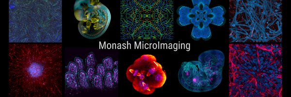 MicroMonash Profile Banner
