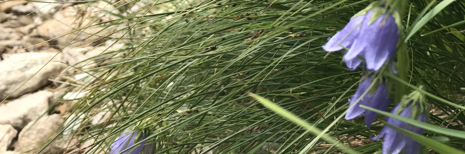 AnnekeDijkstra_'s profile banner image
