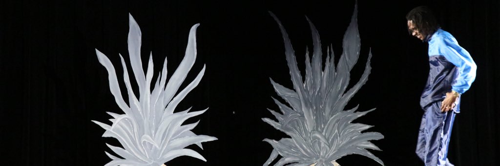 LowLieFCEO's profile banner image
