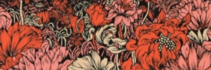 isabella banner