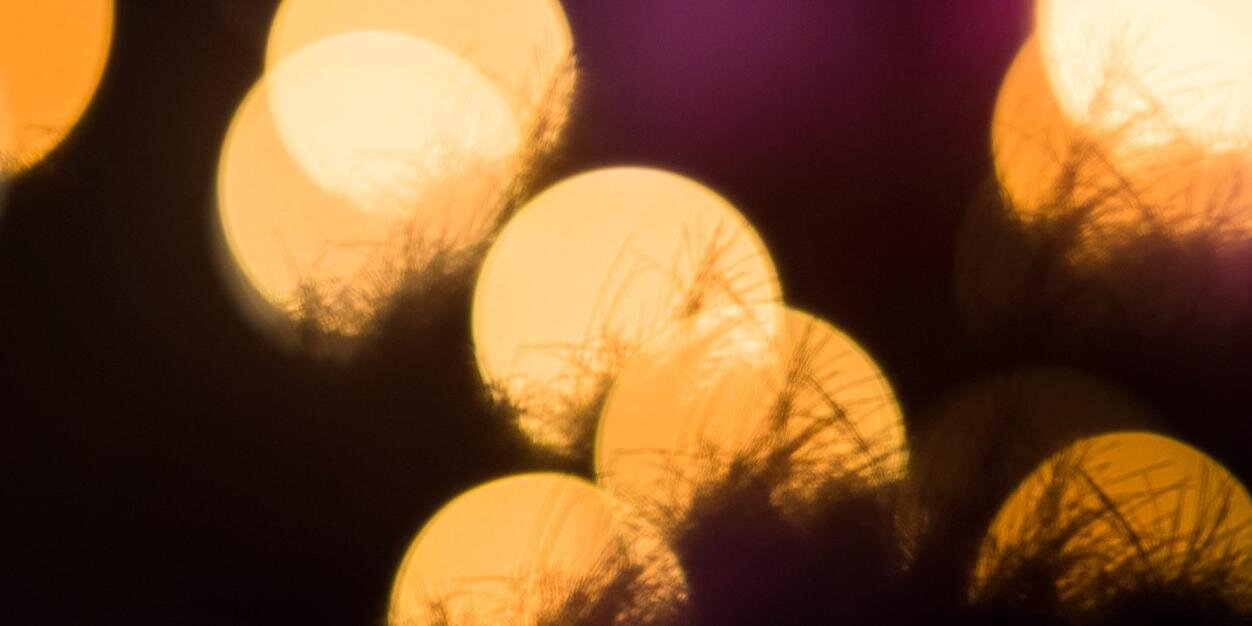 hardianyuda's profile banner image