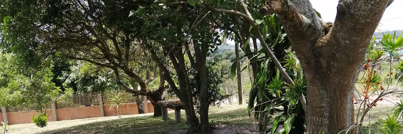 Nunubrenda's profile banner image