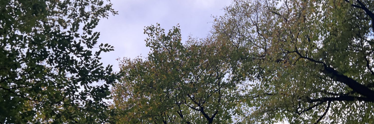 kierknowles's profile banner image