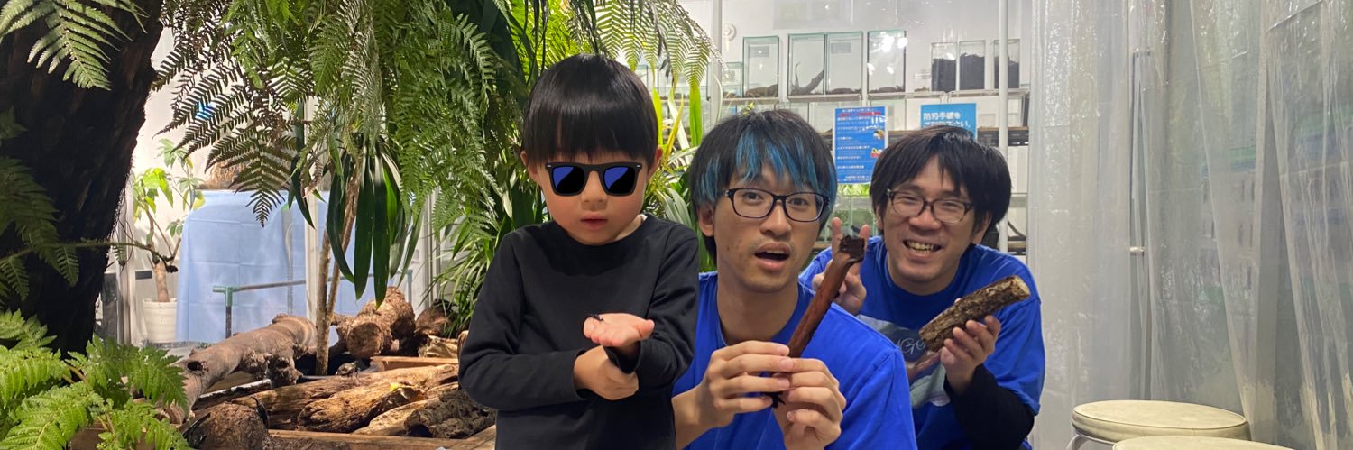 クワガタムシ冴島 banner