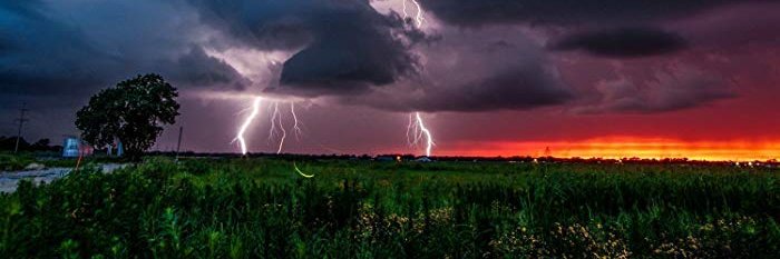 darylreininger's profile banner image