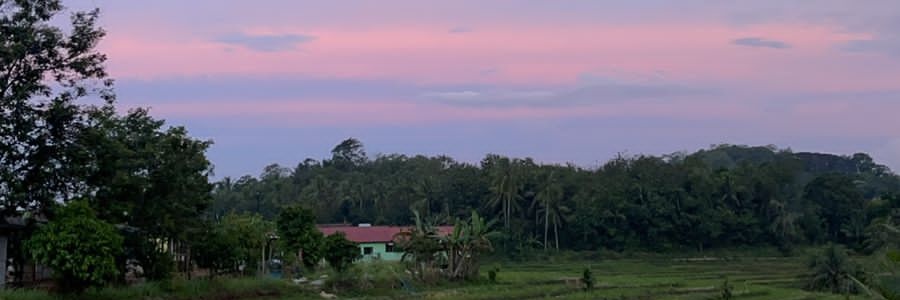 medianips's profile banner image