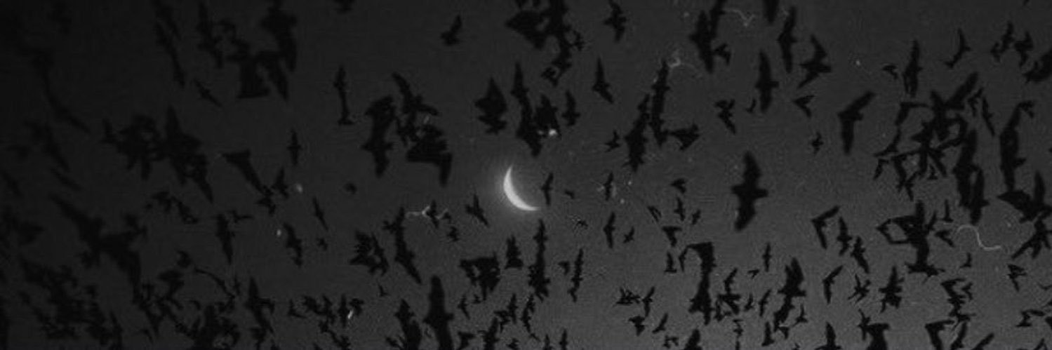 NOV__98's profile banner image