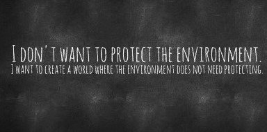 Lucelia Rodrigues banner