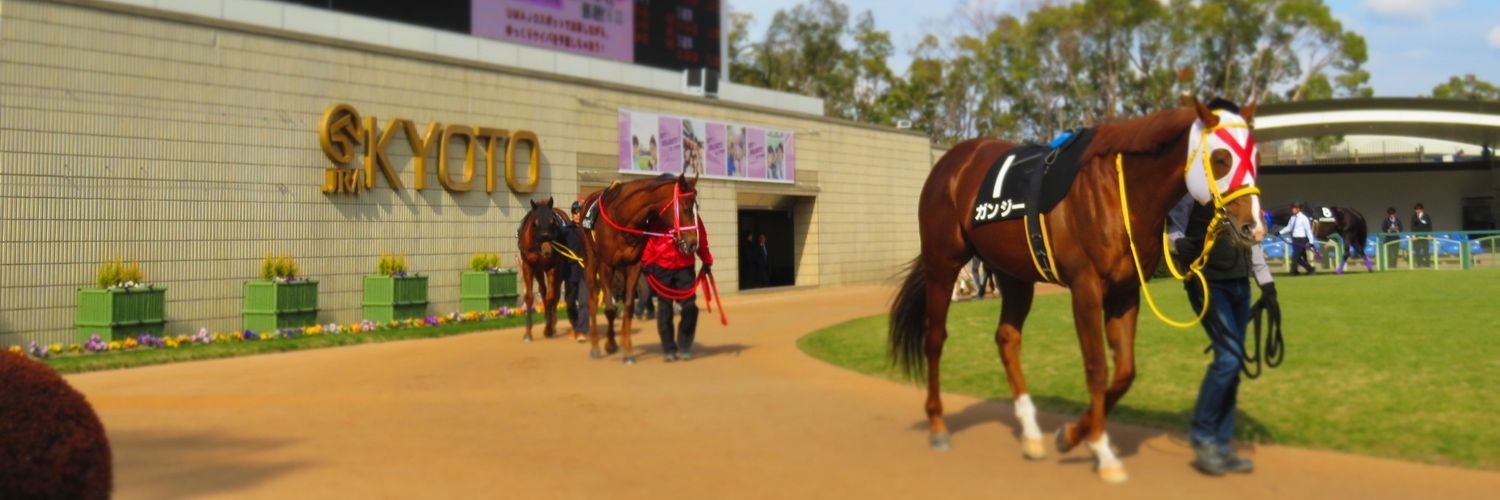 やまぴ🐎 banner