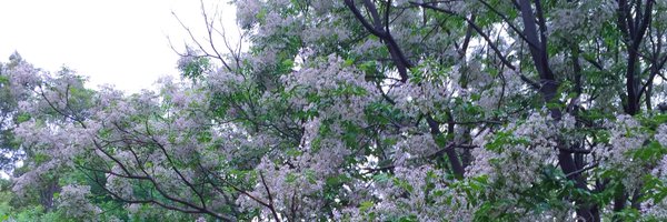 juphvm Profile Banner