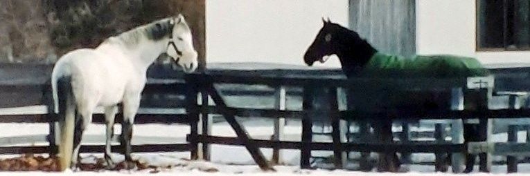 ひできち。@佐藤🌸🍀🌻 banner