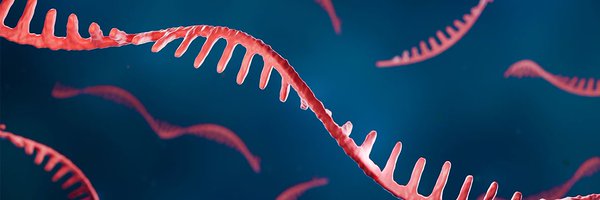 RNAlab_IBPM Profile Banner