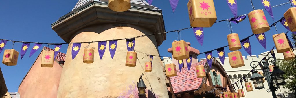 Nicole Maccarone banner