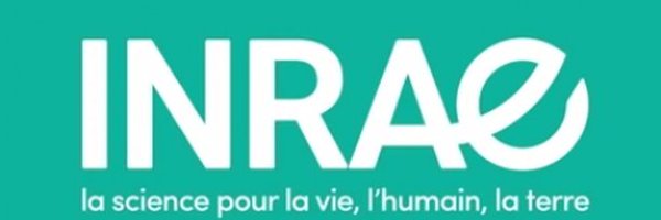 InraeM Profile Banner
