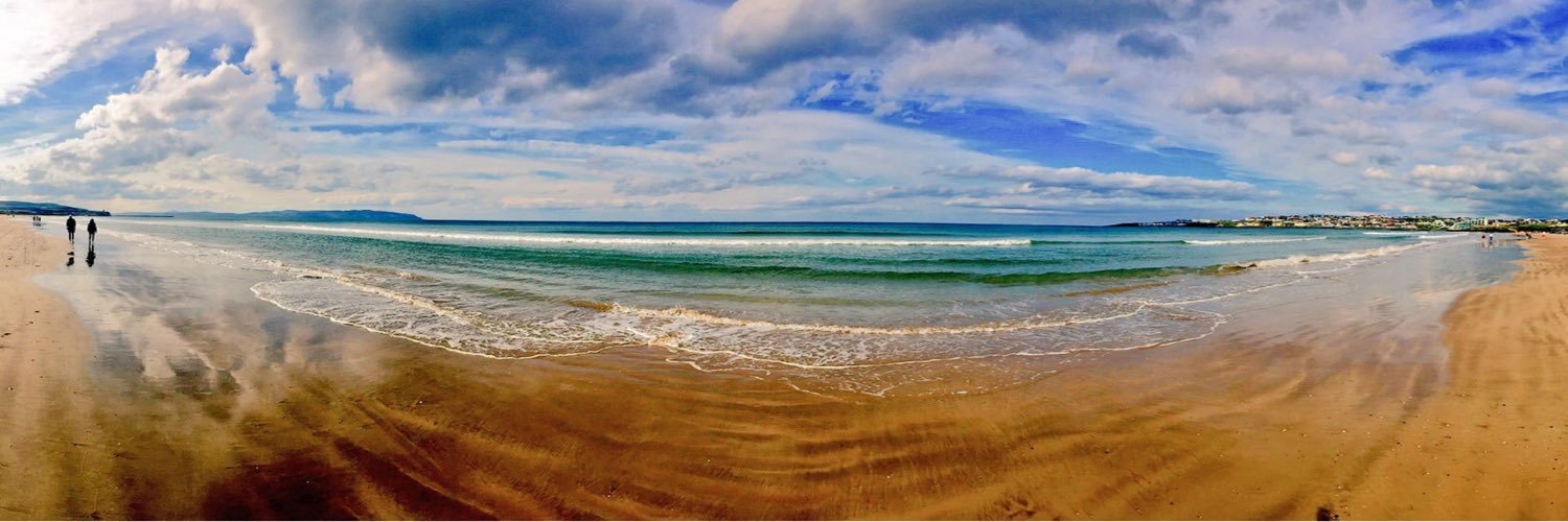 sarah travers banner