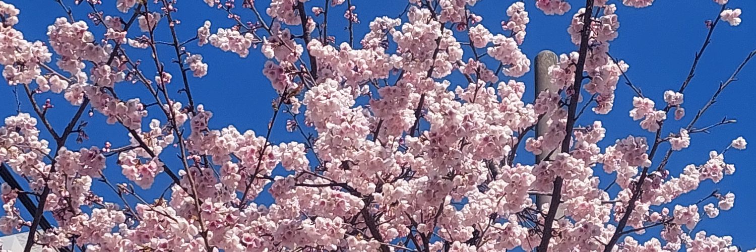 MCワカ🎤🏎(WAKA) banner