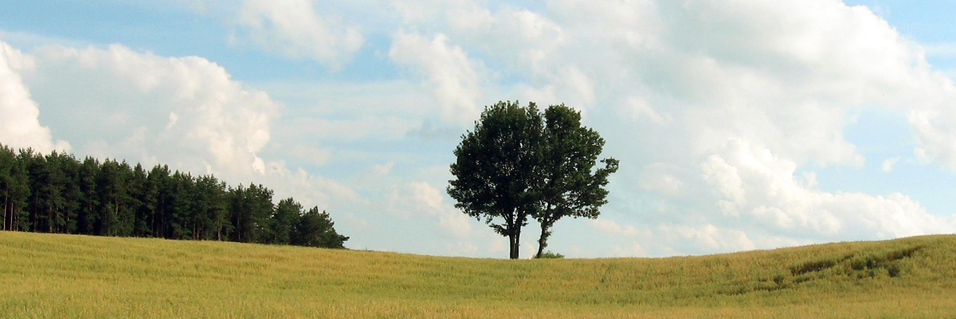 pilgerruh's profile banner image