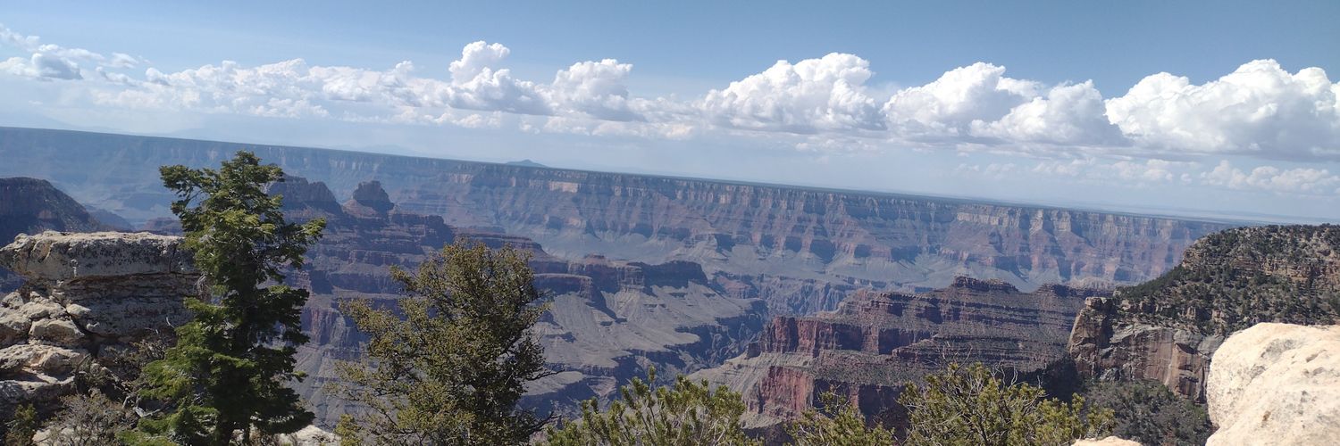 🍃 Isla 🔻 banner