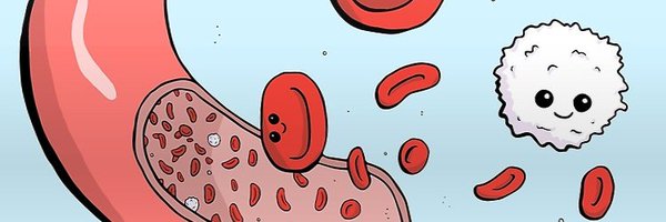 Julie__Huynh Profile Banner