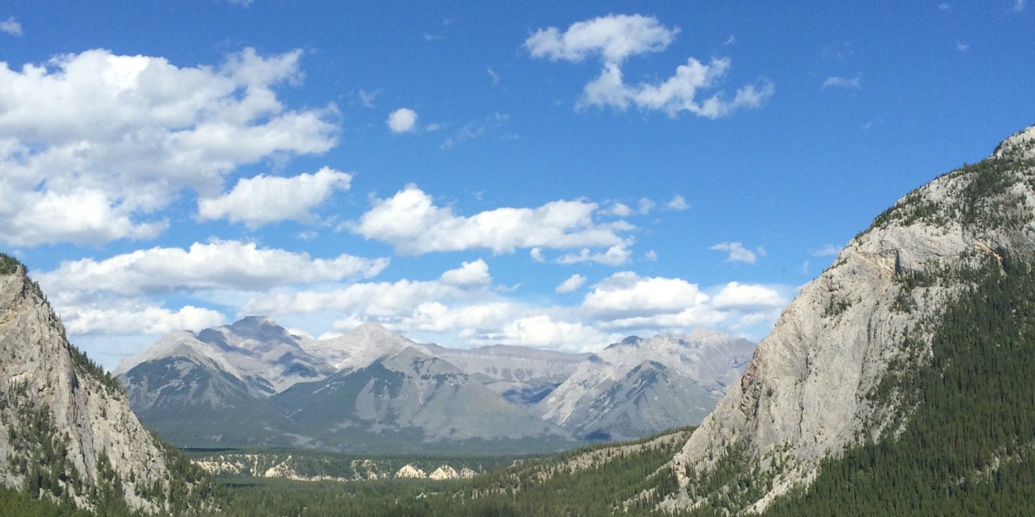 Wellness For Law banner