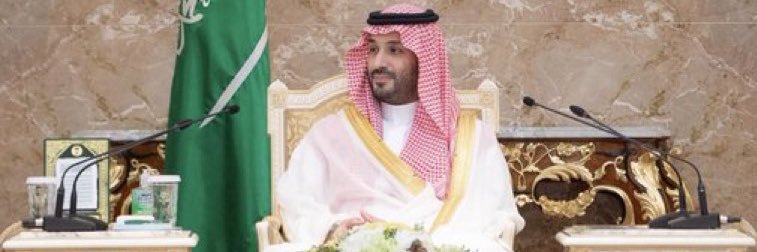 غزلآن🦌 banner