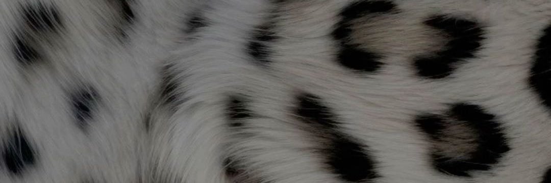 YannnaBaby's profile banner image