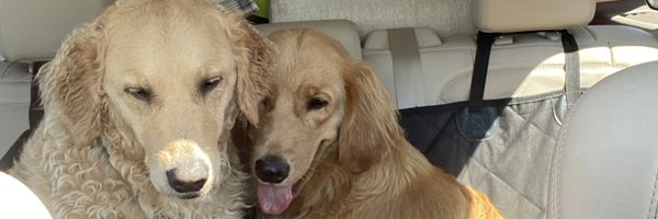 ATrumpest Profile Banner