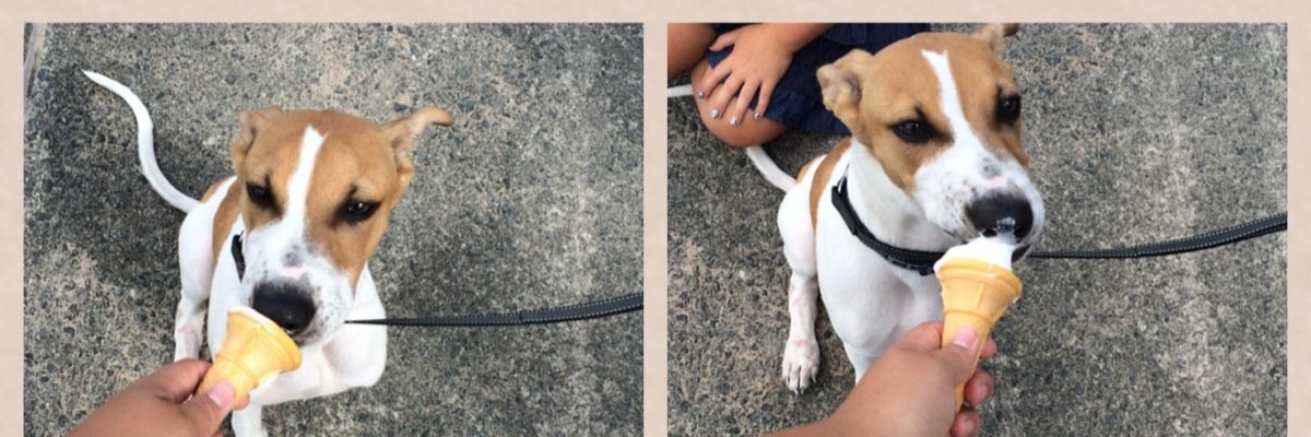 HannahMorganss's profile banner image