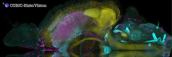 suishess Profile Banner