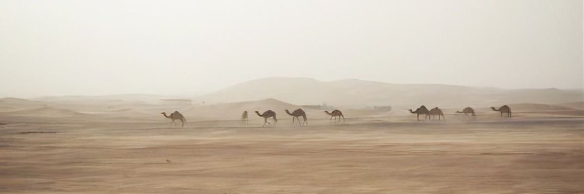 Yazan Abdullah 👨🏻‍💻. banner