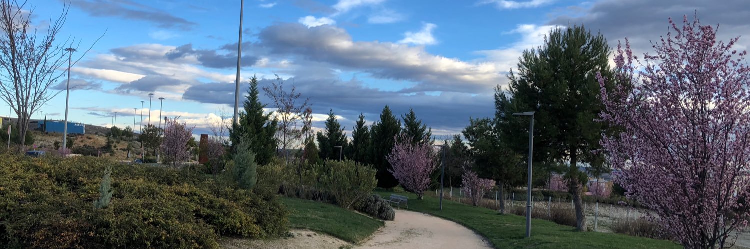 laauraprz's profile banner image