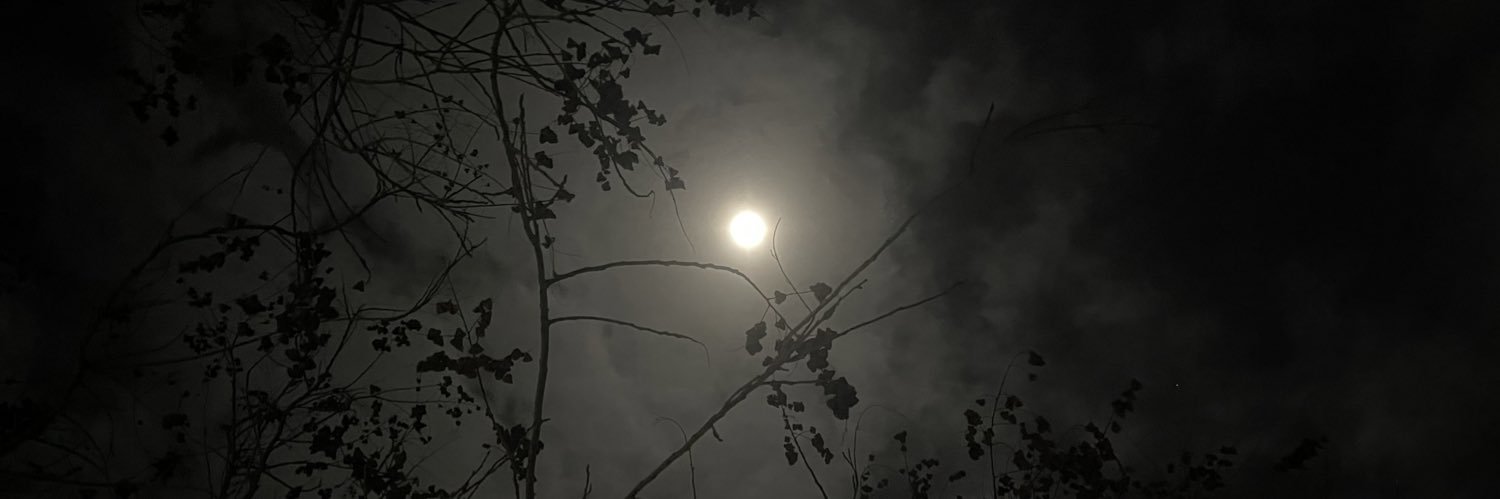 magneticspice's profile banner image
