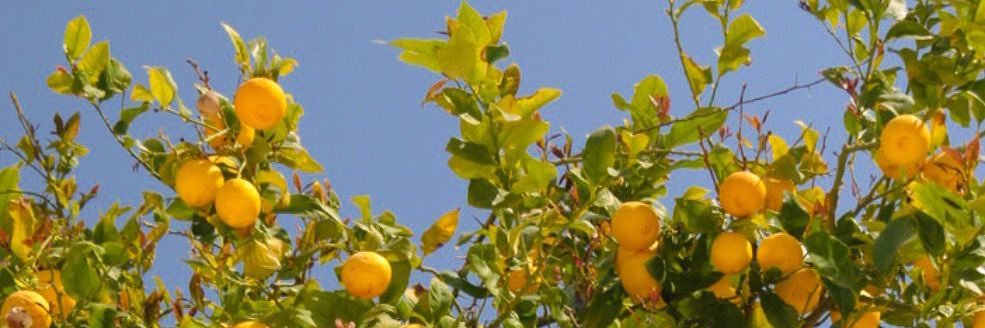 alexisttweets's profile banner image