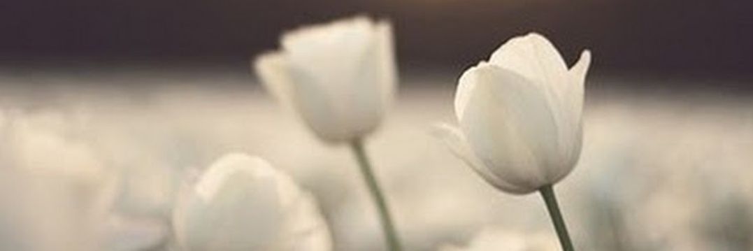 شاعرة الغربه banner